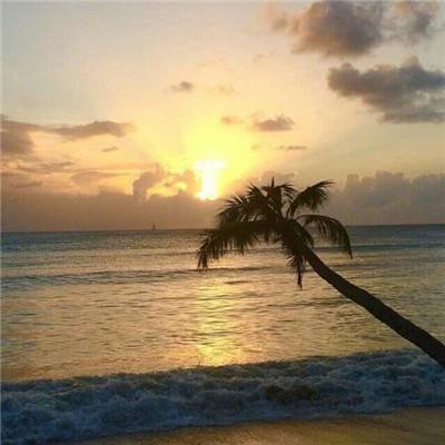 bat365app手机版下载